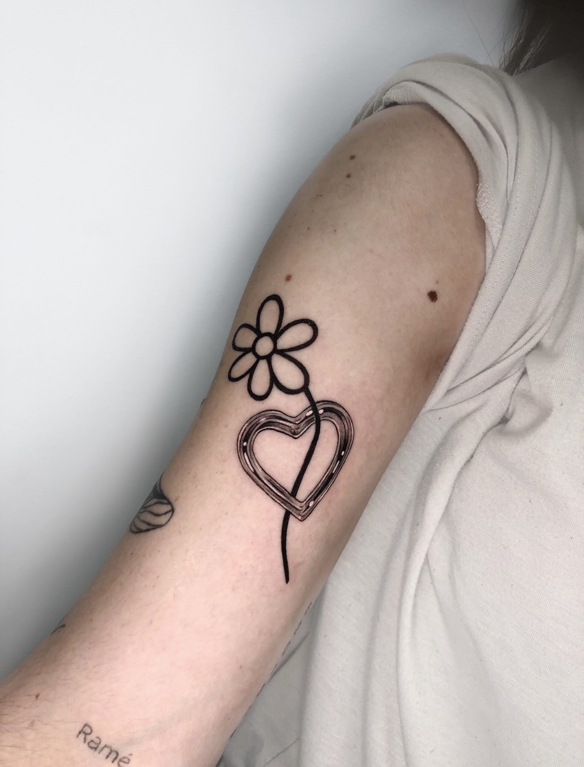 Ilustración sin título